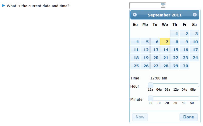 Date/Time Field Type